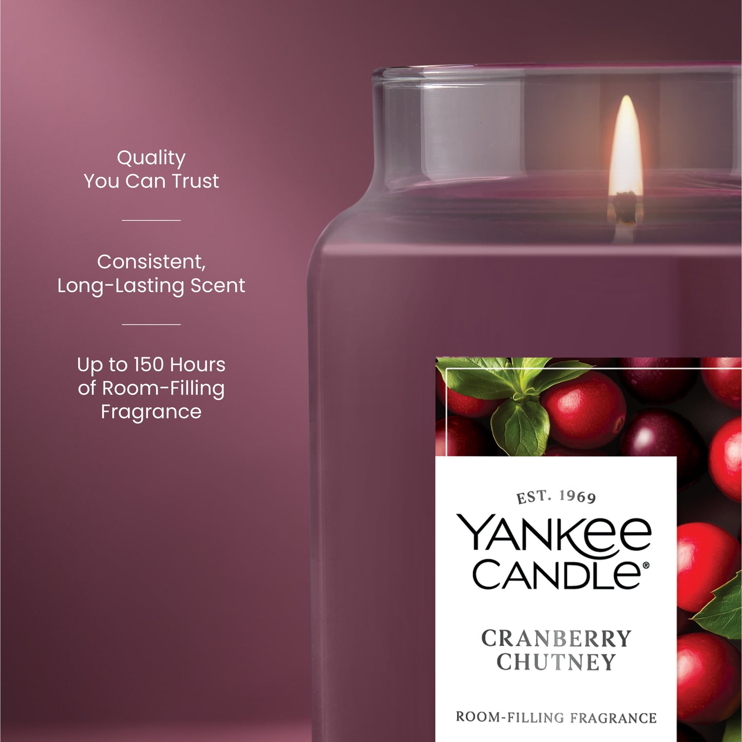 Cranberry Chutney