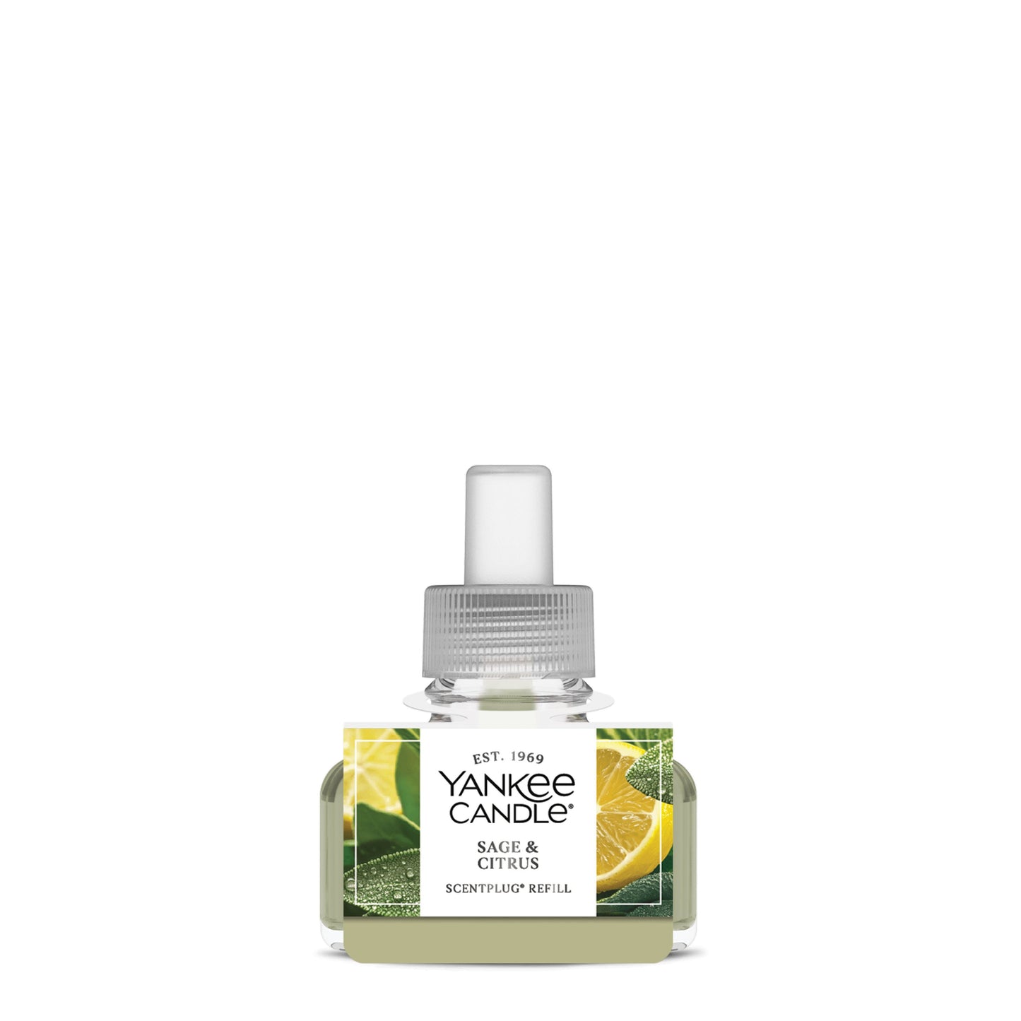 Sage & Citrus Wave 6-0665