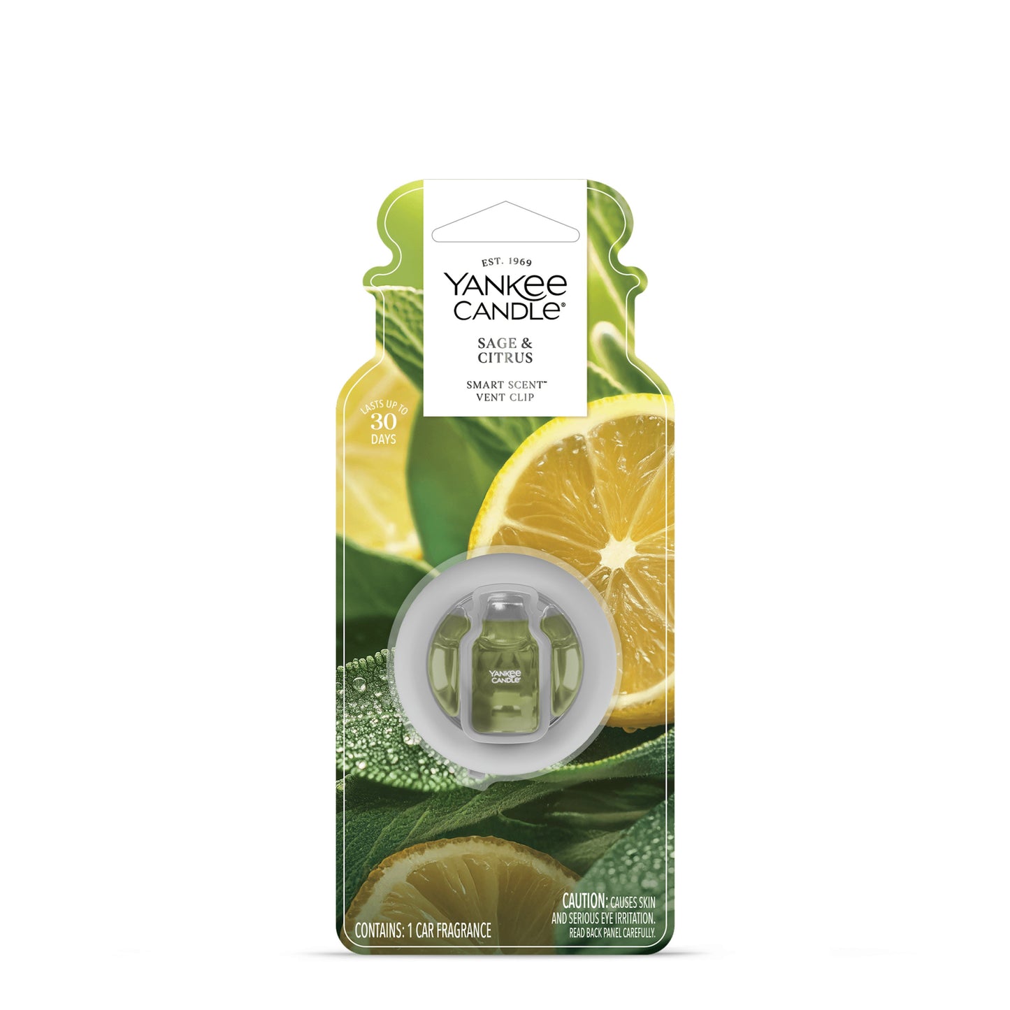 Sage & Citrus Wave 6-0875